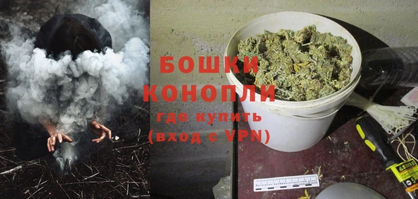a pvp Бородино