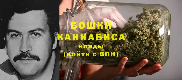 a pvp Бородино