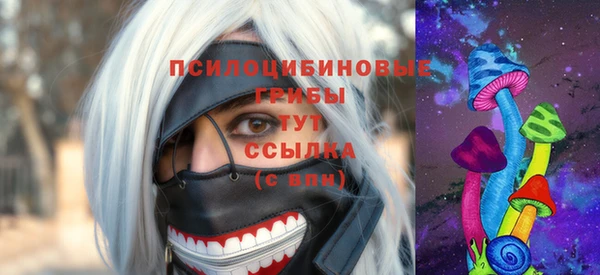амф Богданович