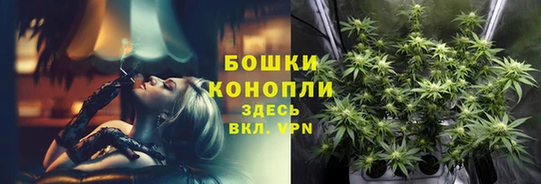 амф Богданович