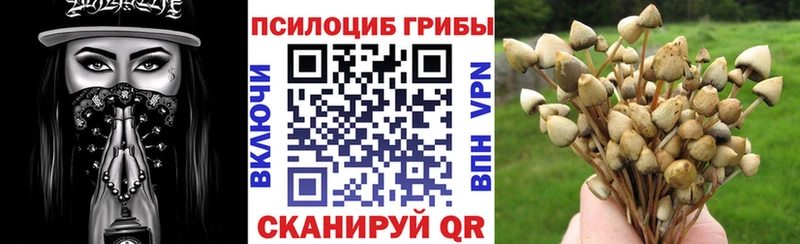 Псилоцибиновые грибы GOLDEN TEACHER  Кологрив 